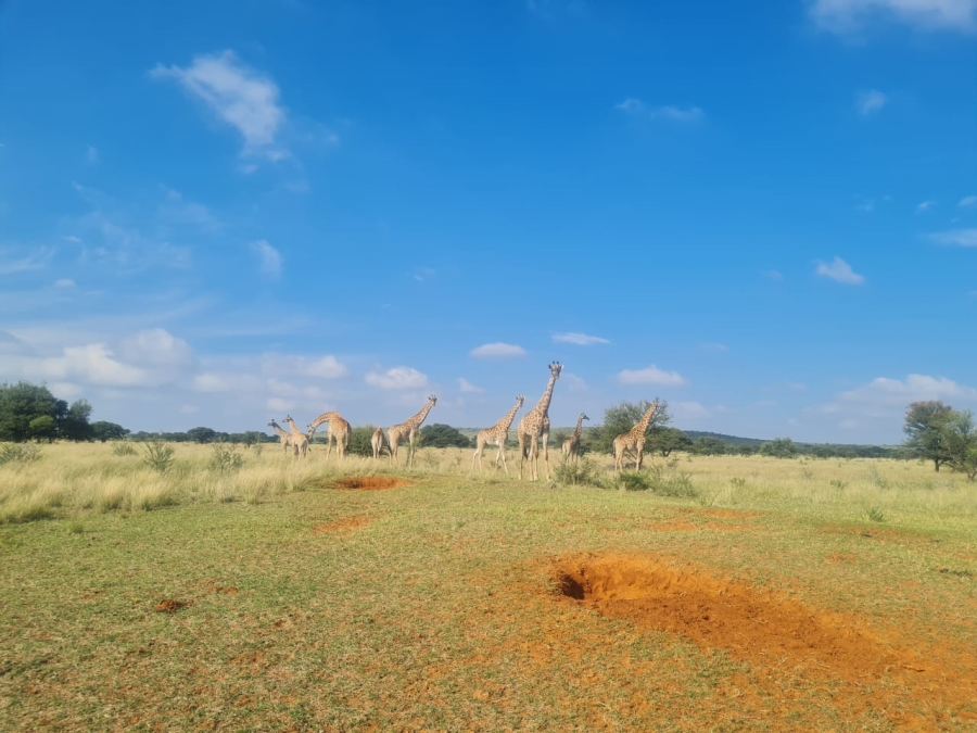 Commercial Property for Sale in Boshof Rural Free State